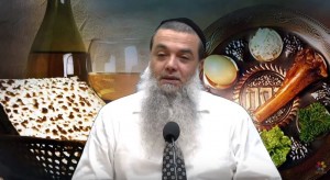 ניקיונות לפסח