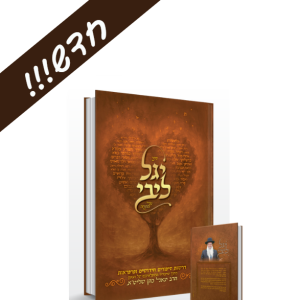 חדש! ספר פרשת שבוע - יגל ליבי